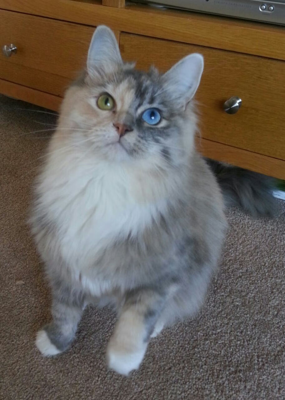 全民健身事业为加快建设体育强国、健康中国增添动能，为中华民族伟大复兴提供坚实健康基础和强大精神力量