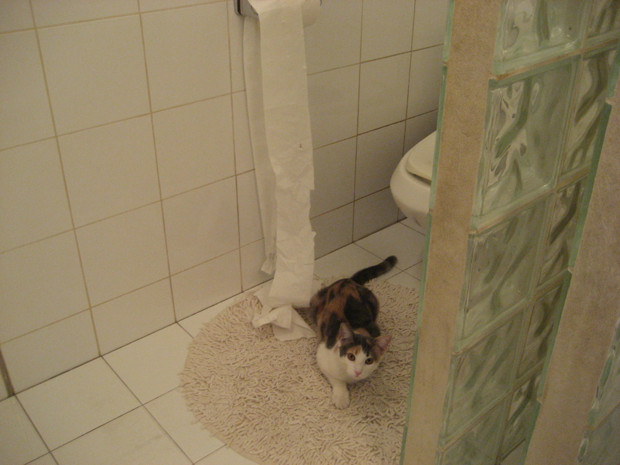 _电动滑板比赛：城市速度新宠_，电动滑板2021新规