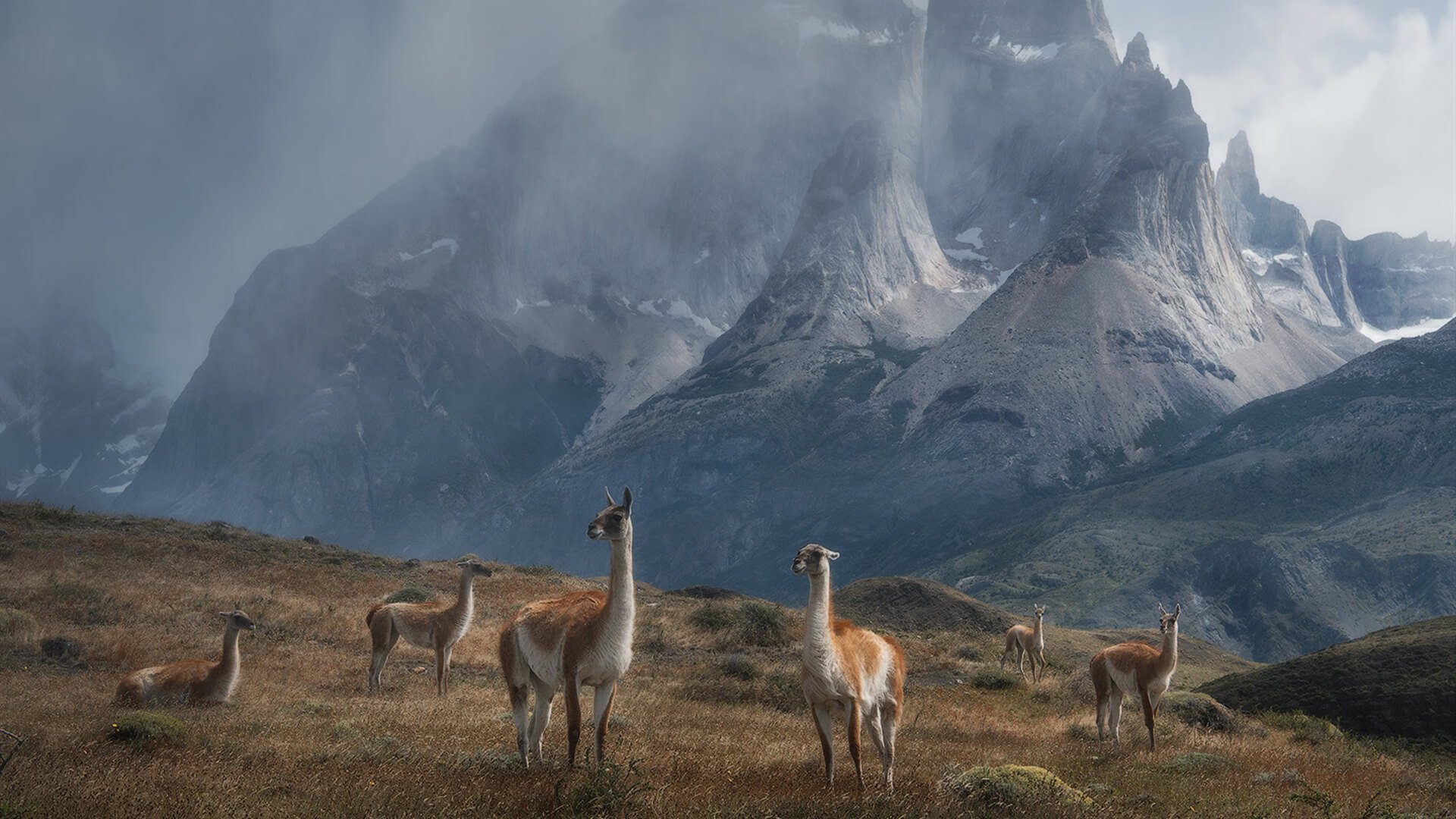 _电子游戏体育联赛：虚拟世界的竞技舞台_，体育 电子竞技
