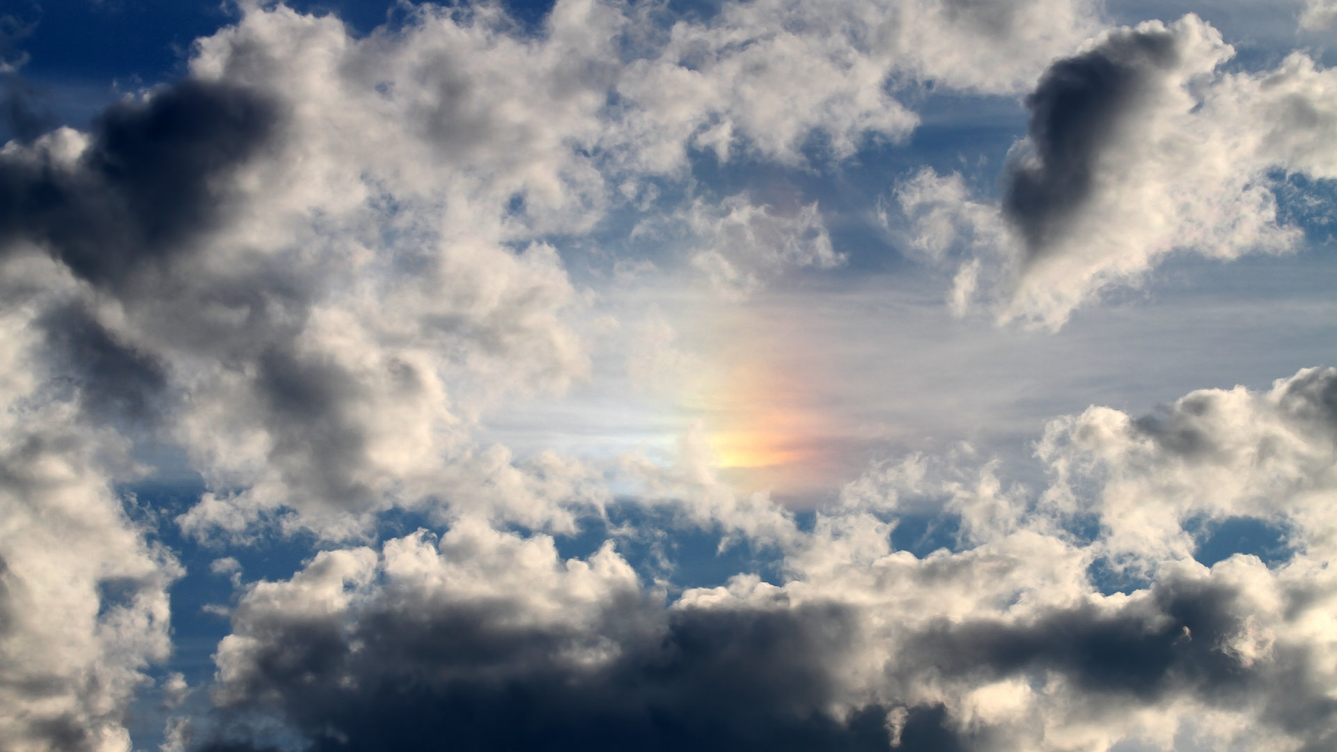 _雄鹿字母哥再度三双,带队取胜_,雄鹿字母哥打什么位置